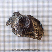 Sikhote Alin - Iron, IIAB - Complete Individual - 36.58g - Russia (Primorye)