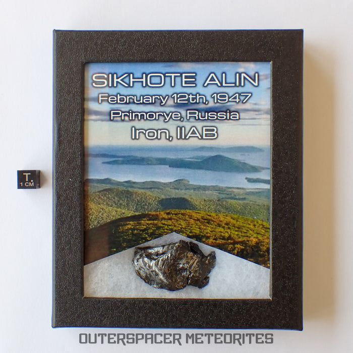 Sikhote Alin - Fer, IIAB - Individu complet - 36.58g - Russie (Primorye)
