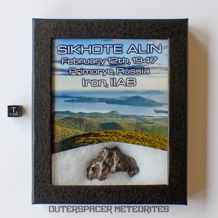 Sikhote-Aline - Fer, IIAB - Individu complet - 35,45 g - Russie (Primorye)