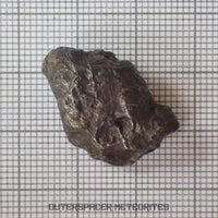 Sikhote Alin - Iron, IIAB - Complete Individual - 12.44g - Russia (Primorye)