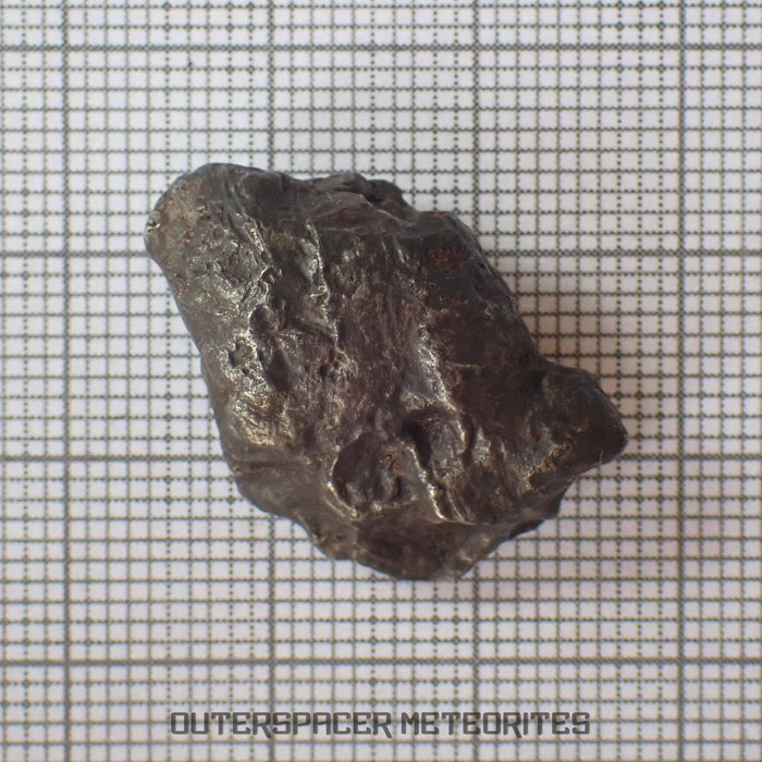 Sikhote Alin - Fer, IIAB - Individu complet - 12,44g - Russie (Primorié)