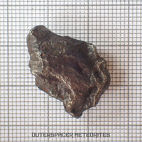 Sikhote Alin - Iron, IIAB - Complete Individual - 12.44g - Russia (Primorye)