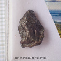 Sikhote Alin - Iron, IIAB - Complete Individual - 12.44g - Russia (Primorye)