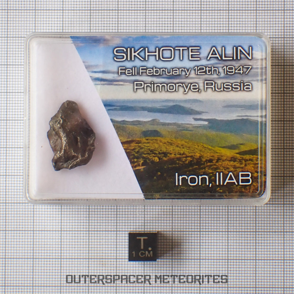 Sikhote Alin - Iron, IIAB - Complete Individual - 12.44g - Russia (Primorye)