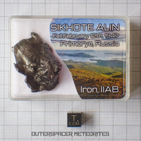 Sikhote Alin - Fer, IIAB - Individu complet - 39,09g - Russie (Primorye)