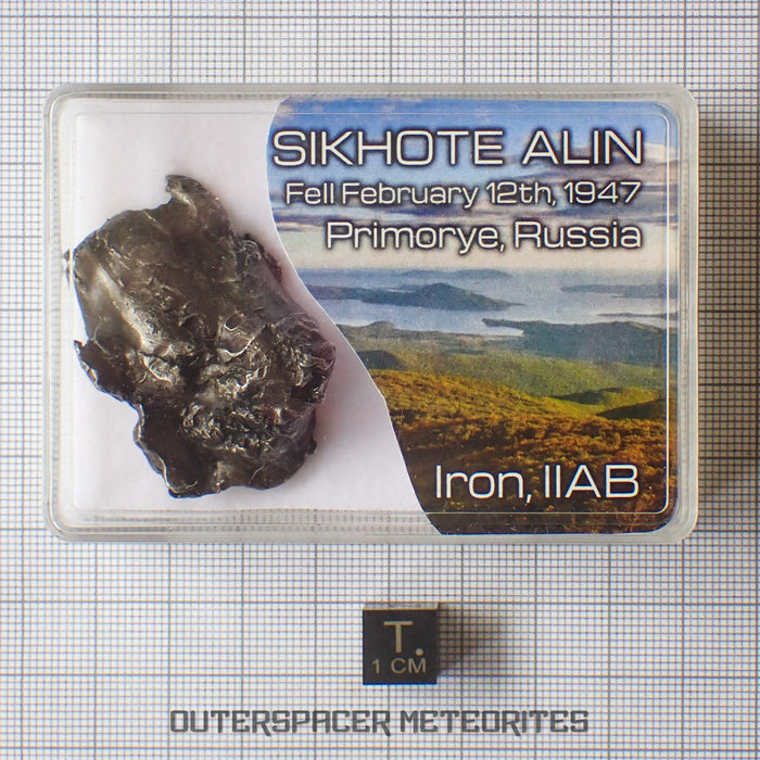 Sikhote Alin - Fer, IIAB - Individu complet - 39,09g - Russie (Primorye)