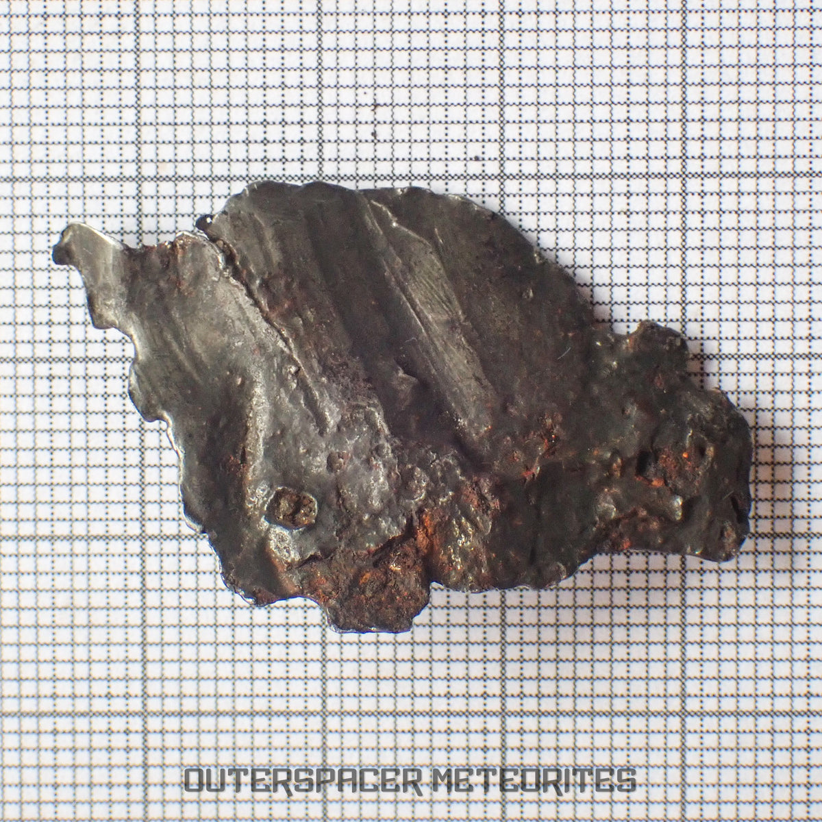 Sikhote Alin - Iron, IIAB - Complete Individual - 10.72g - Russia (Primorye)