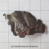 Sikhote Alin - Iron, IIAB - Complete Individual - 10.72g - Russia (Primorye)