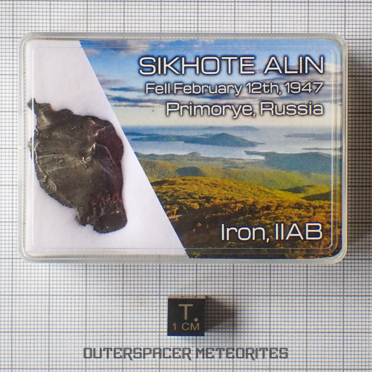 Sikhote Alin - Iron, IIAB - Complete Individual - 10.72g - Russia (Primorye)