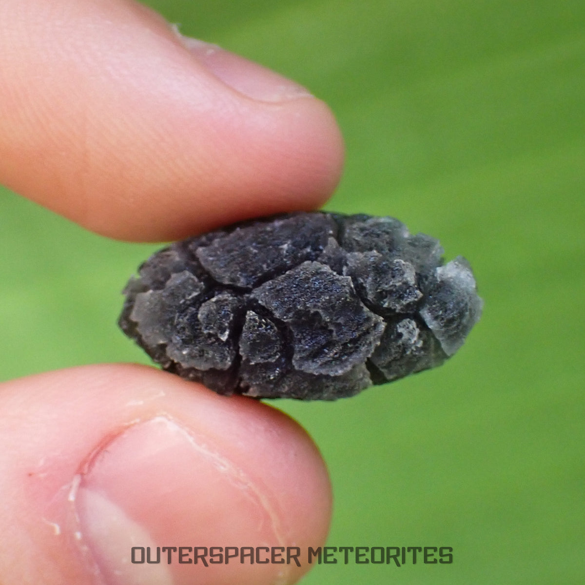 « Hérisson » des Carpates – Obsidienne – Individu complet – 4,3 g – Slovaquie