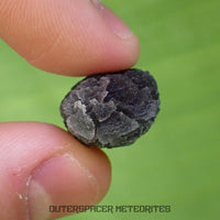 « Hérisson » des Carpates – Obsidienne – Individu complet – 4,3 g – Slovaquie
