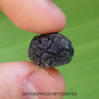 « Hérisson » des Carpates – Obsidienne – Individu complet – 4,3 g – Slovaquie