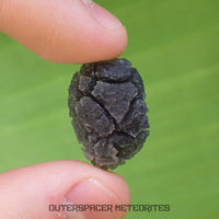 « Hérisson » des Carpates – Obsidienne – Individu complet – 4,3 g – Slovaquie