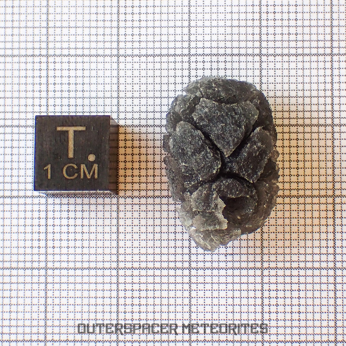 « Hérisson » des Carpates – Obsidienne – Individu complet – 4,3 g – Slovaquie