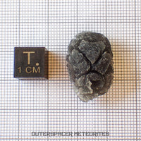 « Hérisson » des Carpates – Obsidienne – Individu complet – 4,3 g – Slovaquie