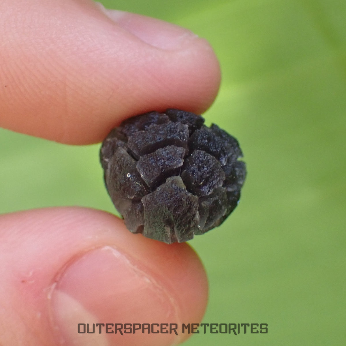 « Hérisson » des Carpates – Obsidienne – Individu complet – Slovaquie