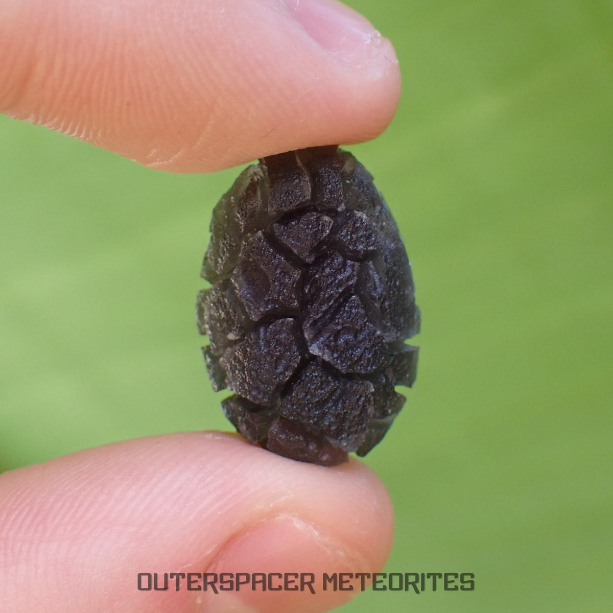 « Hérisson » des Carpates – Obsidienne – Individu complet – Slovaquie