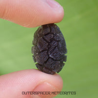 « Hérisson » des Carpates – Obsidienne – Individu complet – Slovaquie