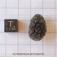 « Hérisson » des Carpates – Obsidienne – Individu complet – Slovaquie