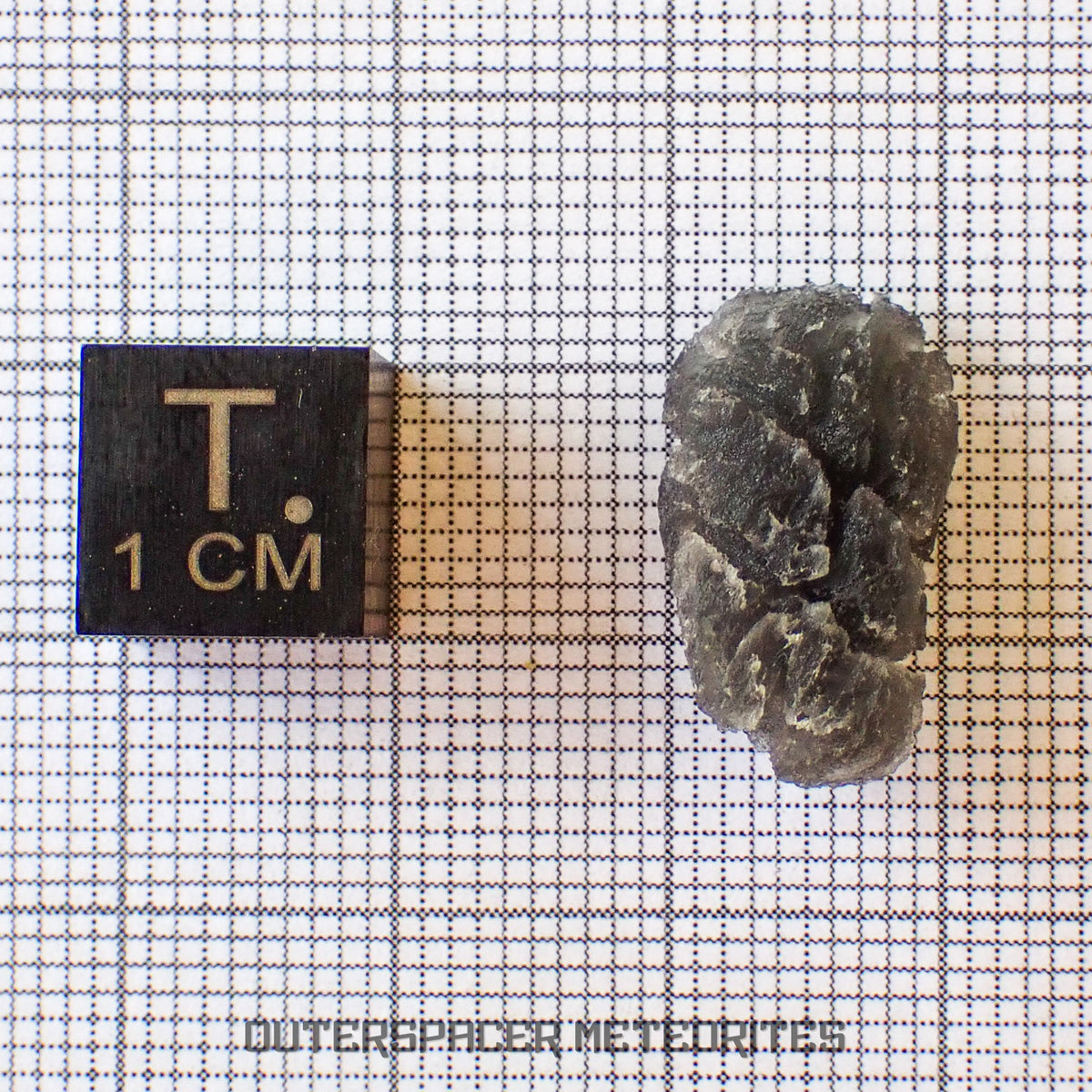 «Hérisson» des Carpates - Obsidienne - Individu complet - Slovaquie