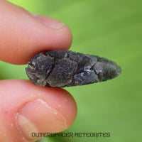 « Hérisson » des Carpates – Obsidienne – Individu complet – Slovaquie