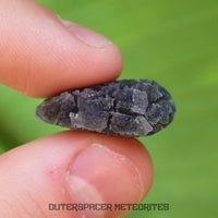 « Hérisson » des Carpates – Obsidienne – Individu complet – Slovaquie