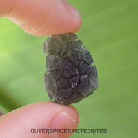 « Hérisson » des Carpates – Obsidienne – Individu complet – Slovaquie
