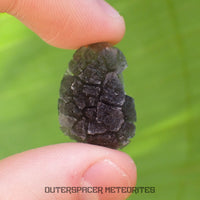 « Hérisson » des Carpates – Obsidienne – Individu complet – Slovaquie
