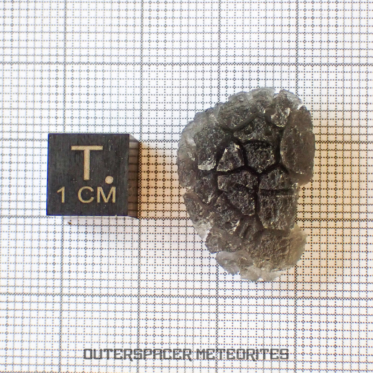 « Hérisson » des Carpates – Obsidienne – Individu complet – Slovaquie