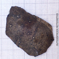 Smeïra 003 - Shergottite martienne (olivine-phyrique) - 3,51g