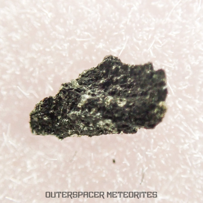 Sutters Mill - C Carbonaceous Chondrite - Mini Fragment - USA (California)