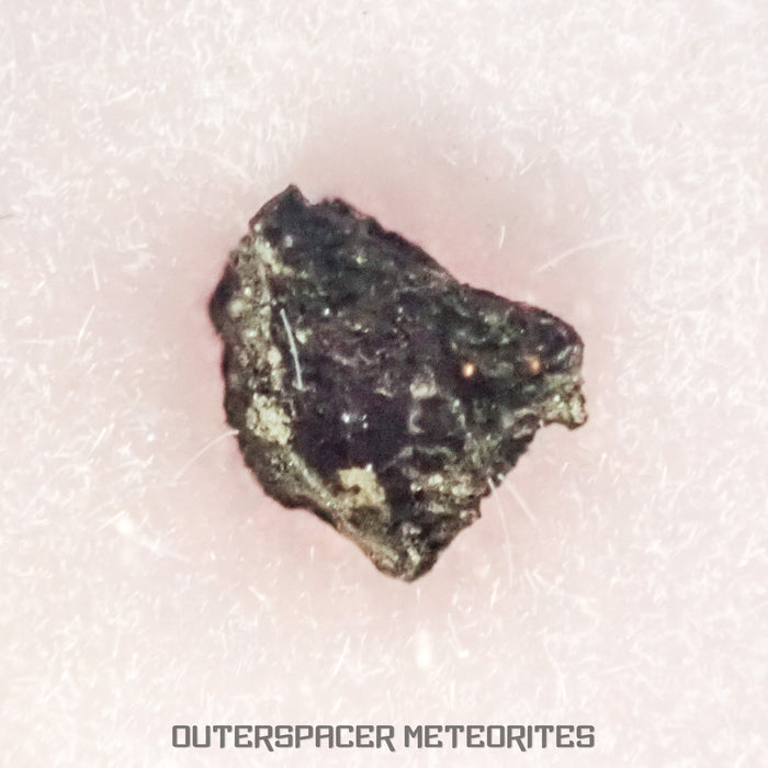Sutters Mill - C Carbonaceous Chondrite - Mini Fragment - USA (California)
