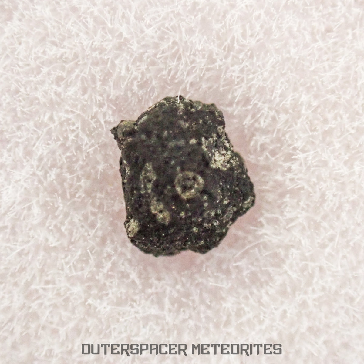 Sutters Mill - Chondrite Carbonée C - Mini Fragment - USA (Californie)