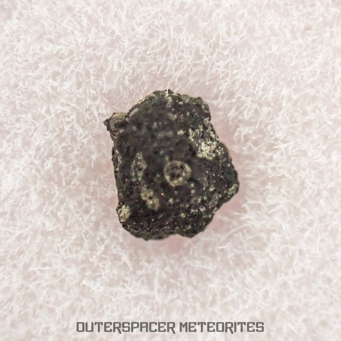 Sutters Mill - C Carbonaceous Chondrite - Mini Fragment - USA (California)