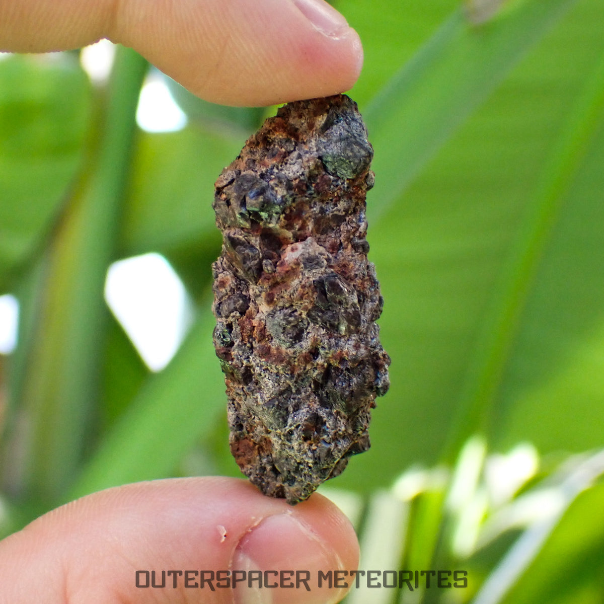Taoudenni - Diogenite - Fragment  - 15.8g - Mali