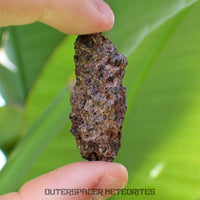 Taoudenni - Diogenite - Fragment  - 15.8g - Mali