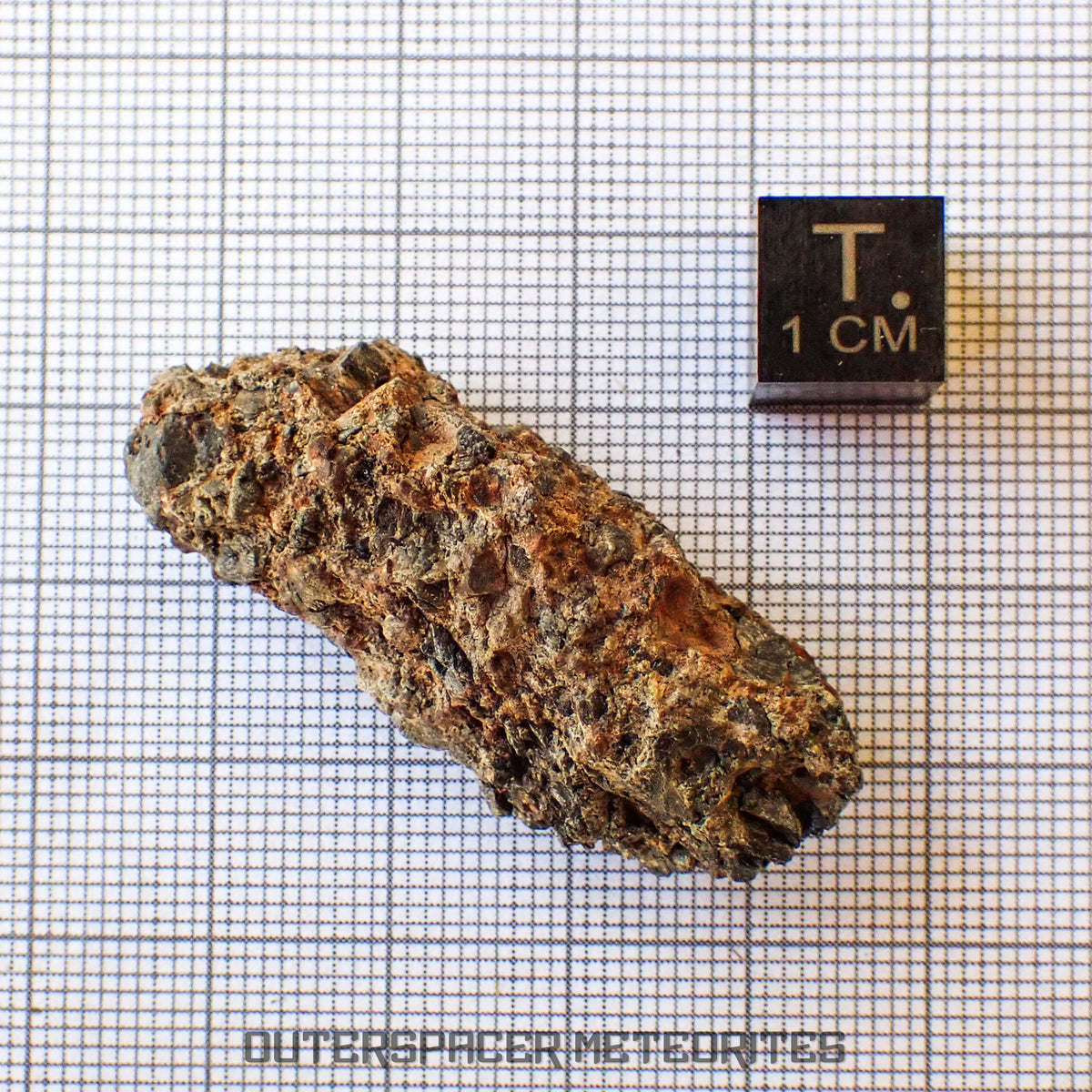Taoudenni - Diogenite - Fragment  - 15.8g - Mali