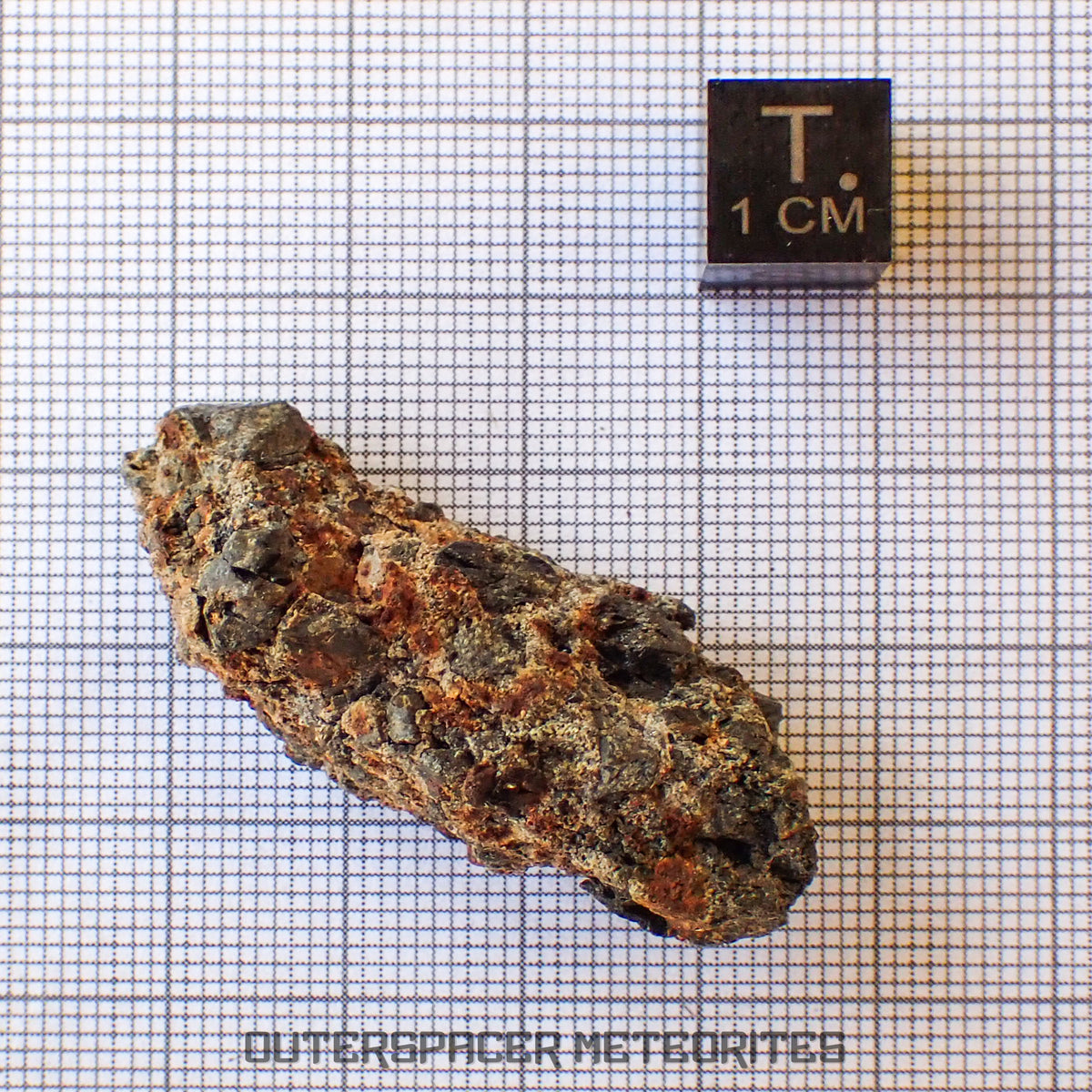 Taoudenni - Diogenite - Fragment  - 15.8g - Mali