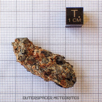 Taoudenni - Diogenite - Fragment  - 15.8g - Mali