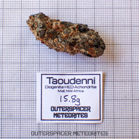 Taoudenni - Diogenite - Fragment  - 15.8g - Mali
