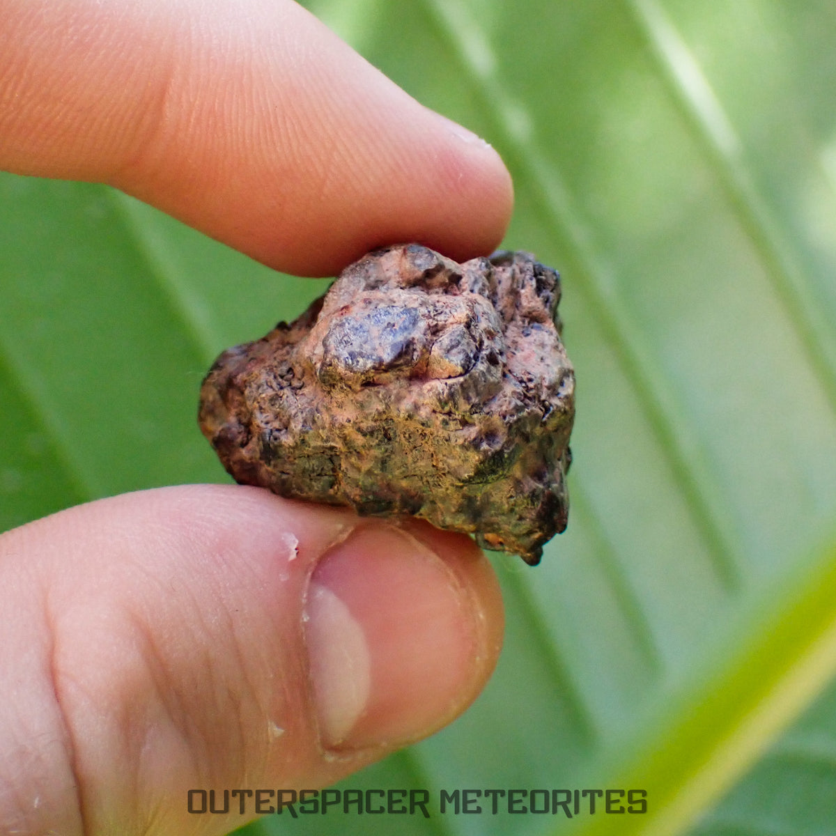 Taoudenni - Diogenite - Fragment - 19.4g - Mali