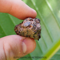 Taoudenni - Diogenite - Fragment - 19.4g - Mali