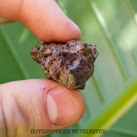 Taoudenni - Diogenite - Fragment - 19.4g - Mali