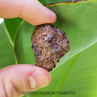 Taoudenni - Diogenite - Fragment - 19.4g - Mali