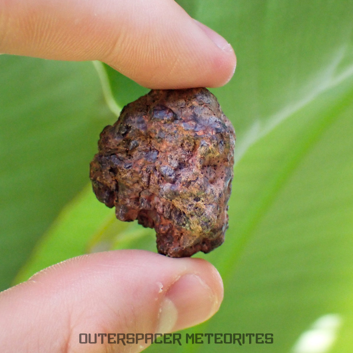 Taoudenni - Diogenite - Fragment - 19.4g - Mali
