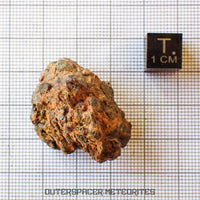 Taoudenni - Diogenite - Fragment - 19.4g - Mali