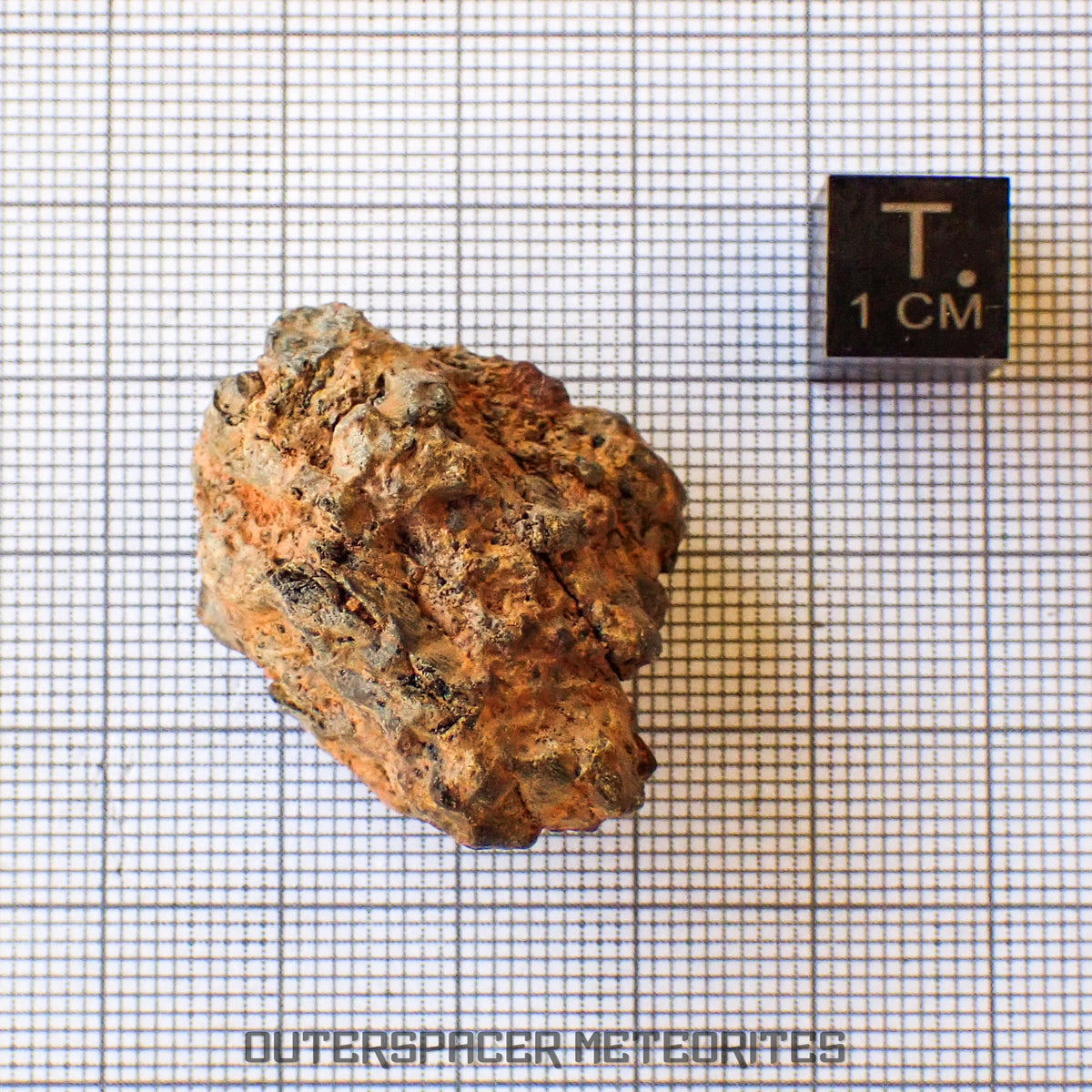 Taoudenni - Diogenite - Fragment - 19.4g - Mali