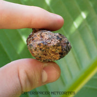 Taoudenni - Diogenite - Fragment - 54g - Mali