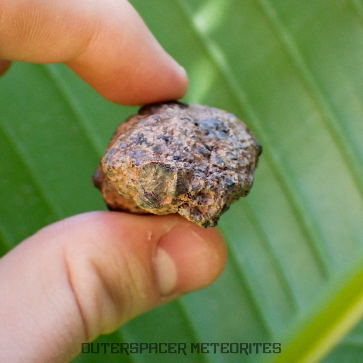 Taoudenni - Diogenite - Fragment - 54g - Mali