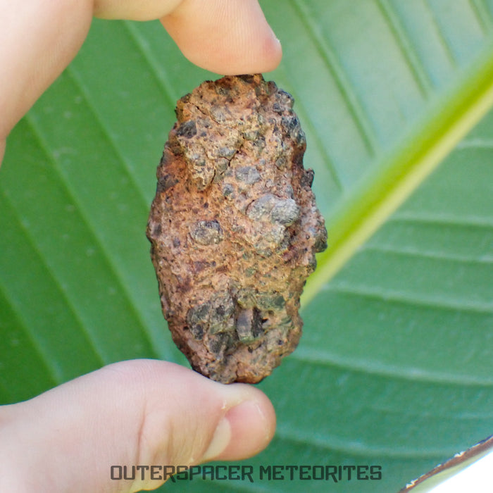 Taoudenni - Diogenite - Fragment - 54g - Mali